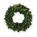 Mud Pie MP 4263043xx Mini Preserved Boxwood Wreath