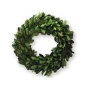 Mud Pie MP 4263043xx Mini Preserved Boxwood Wreath