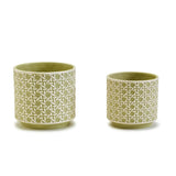 Two's Company TC 53653x Green Embossed Cachepots
