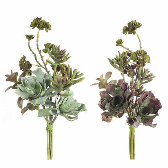 succulent plant bundle Melrose International MI 70661 Succulent Bundles – Piper Lillies Gift Shoppe