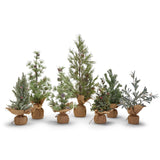 Two's Company TC 81788 Frosted Evergreen Holiday Trees