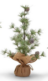 Two's Company TC 81788 Frosted Evergreen Holiday Trees