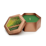 Root Candles RC 886xx Holiday Traveler Candle - 2 Scents