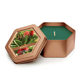 Root Candles RC 886xx Holiday Traveler Candle - 2 Scents