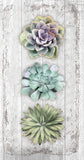 Boston International BI BFxxx Premium Guest Towels - 19 Styles