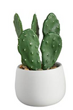 Creative Brands CB BMR261xx 47th & Main Cactus in a Pot
