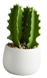 Creative Brands CB BMR261xx 47th & Main Cactus in a Pot