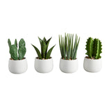 Creative Brands CB BMR261xx 47th & Main Cactus in a Pot