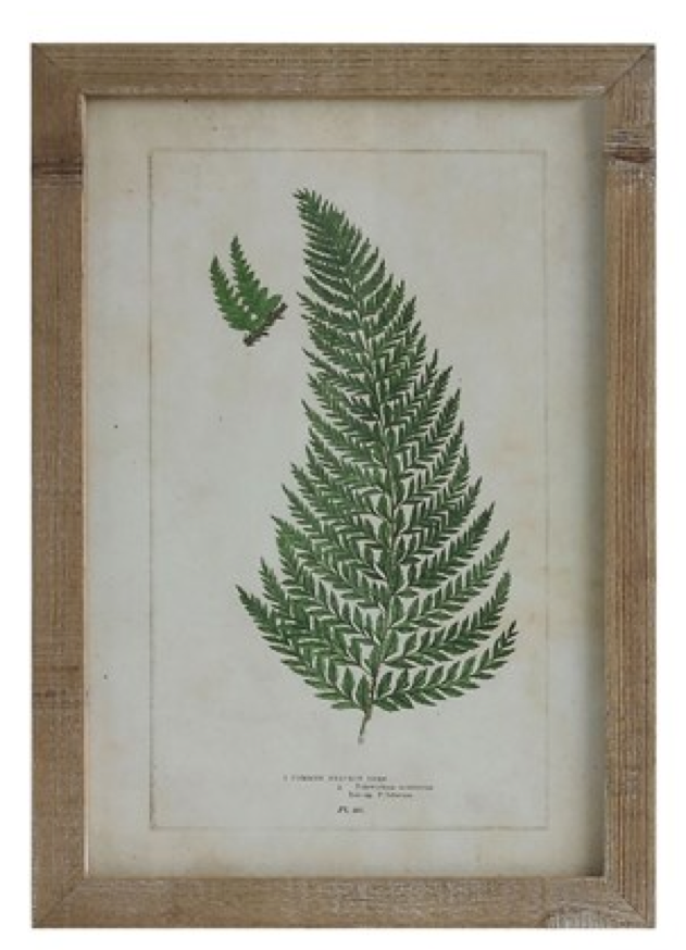 Creative Co-Op CCOP DA6912xx Wood Framed Wall Decor with Ferns