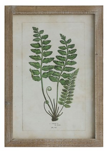 Creative Co-Op CCOP DA6912A Wood Framed Wall Decor with Ferns 13-3/4"L x 19-3/4"H