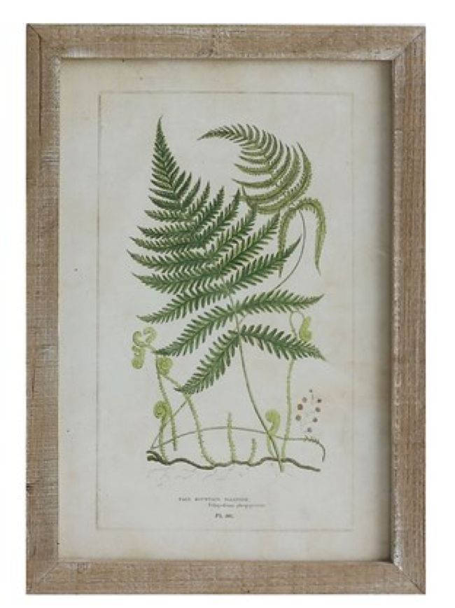 Creative Co-Op CCOP DA6912xx Wood Framed Wall Decor with Ferns