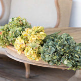 Park Hill Collection PHC EBY80001xx Late Season Hydrangeas