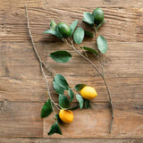 Park Hill Collection PHC EBY90569x Citrus Branch