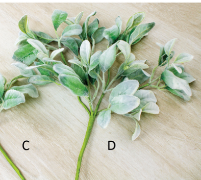 Wing Tai Trading WTT FAQ24616B-13 Lamb's Ear Pick - 13