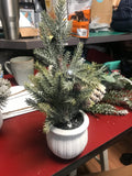 Sullivans SU TR1118xx Potted Pine Tree