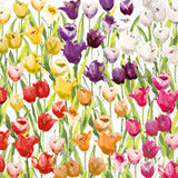 Boston International BI Lxxx Premium Luncheon Napkins - 18 Styles