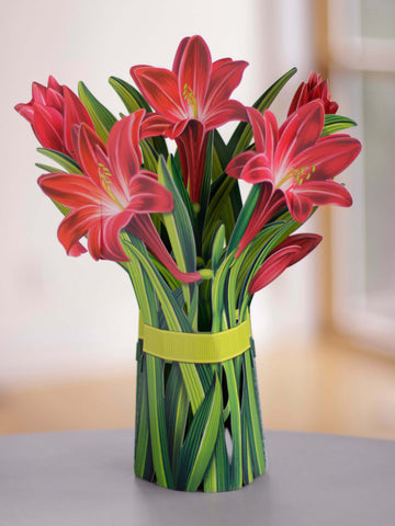 Freshcut Paper 3754 Red Amaryllis Pop Up Flowers