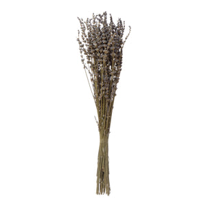 Creative Co-Op CCOP DF4138 Dried Lavender Bunch