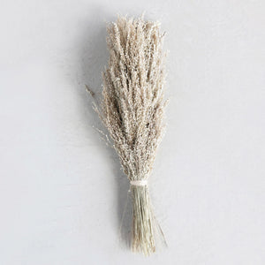 Creative Co-Op CCOP DF4429 Dried Natural Star Grass Bunch