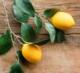 Park Hill Collection PHC EBY90569x Citrus Branch