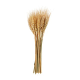 Mud Pie MP 40940059xx Small Wheat Bundle