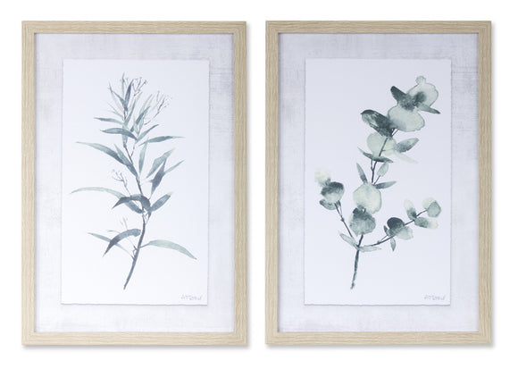 Melrose International MI 78119 Eucalyptus Print