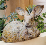 WT Collection WTC RAF24767-2A Resin Rustic Rabbits