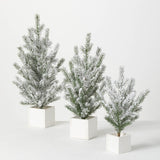 Sullivans SU TR1110x Snowy Pine Tree