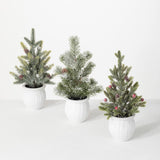 Sullivans SU TR1118xx Potted Pine Tree